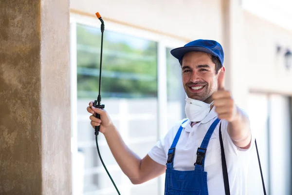 Euless Wasp Removal