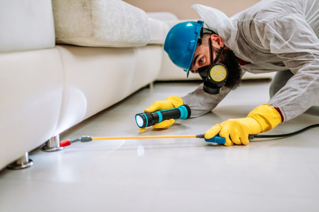 Euless Termite Control