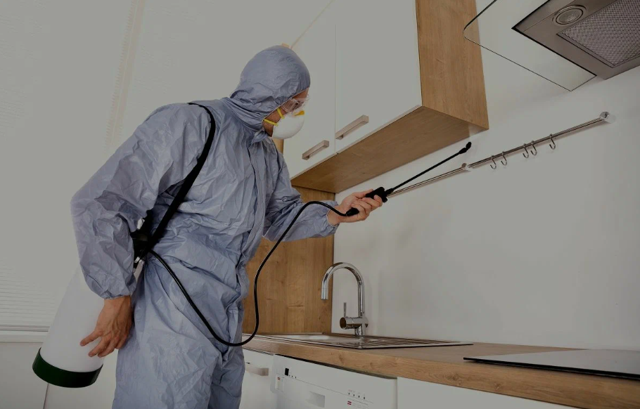 Euless pest managment